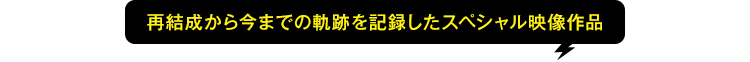 再結成から今までの軌跡を記録したスペシャル映像作品