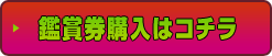 観賞券購入はコチラ